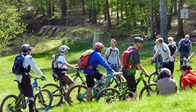 Mountainbiken im Pfälzerwald